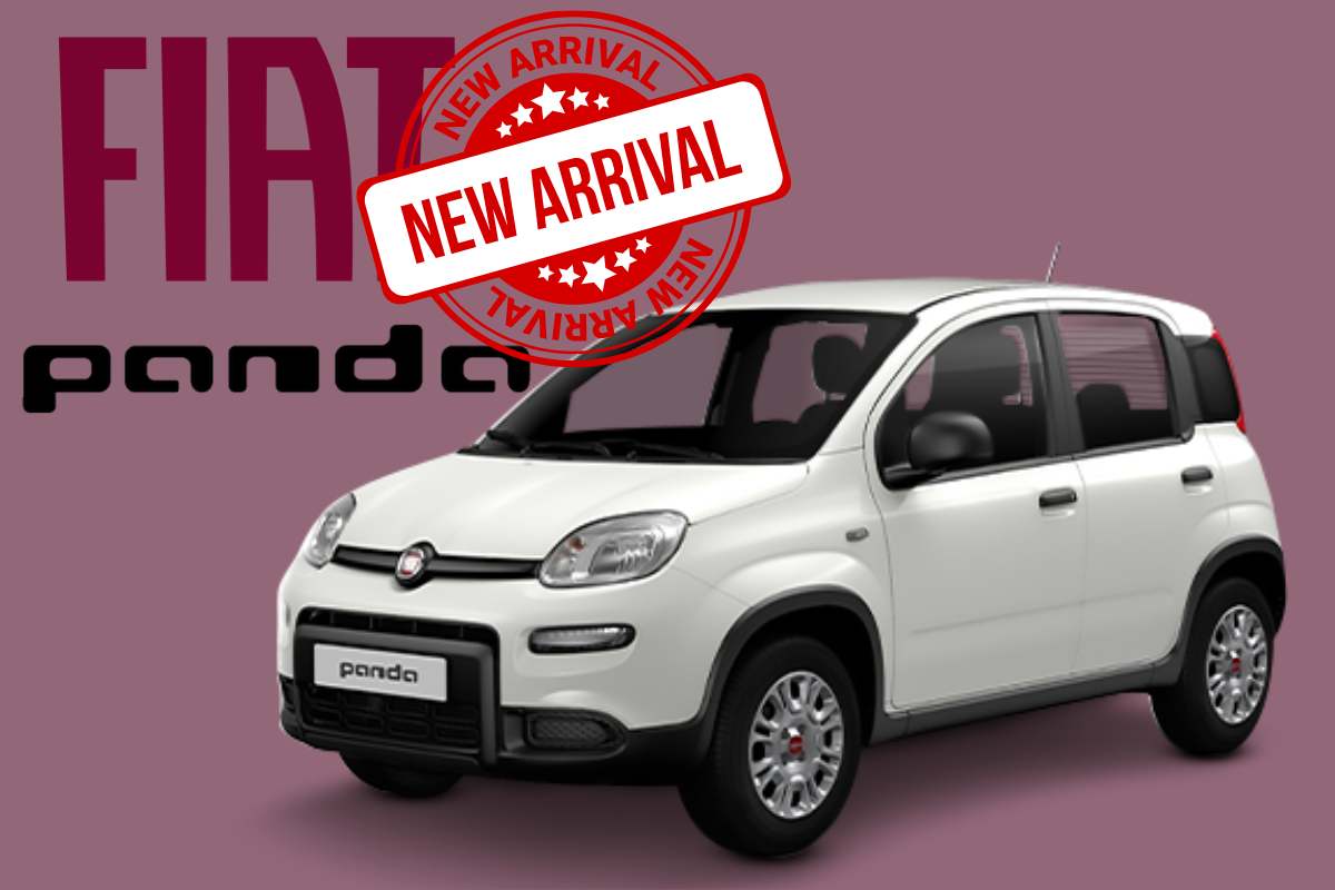 fiat panda nuova